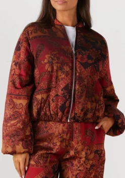 AMAYA AMSTERDAM jack faith multi Best