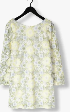 BRUUNS BAZAAR mini jurk lucille dress multi Outlet