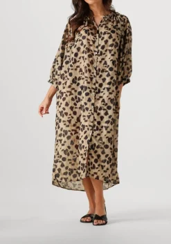 KNIT-TED mini jurk mick multi