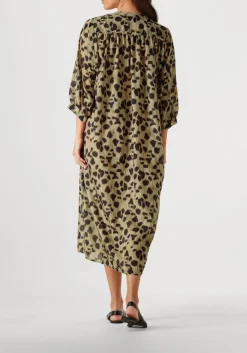 KNIT-TED mini jurk mick multi