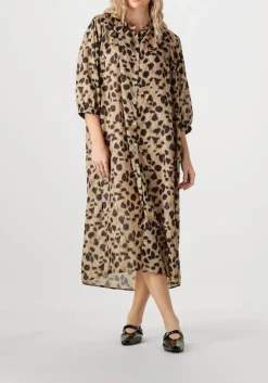 KNIT-TED mini jurk mick multi