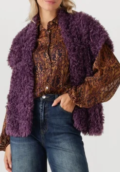 AMAYA AMSTERDAM e gilet bruna paars Sale