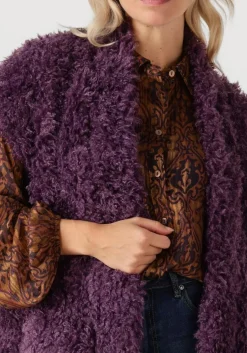 AMAYA AMSTERDAM e gilet bruna paars Sale