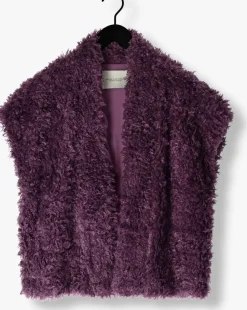 AMAYA AMSTERDAM e gilet bruna paars Sale