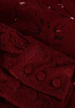 AAIKO rode blouses muze pes 566 rood