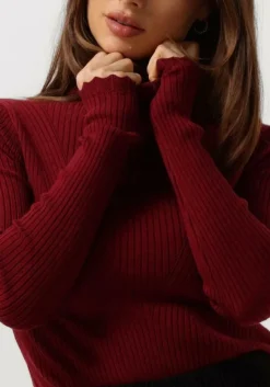 AAIKO rode tops & t-shirts vida ruffle vis 301 sweaters rood Best