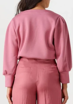 AAIKO trui adry vis 436 roze Online