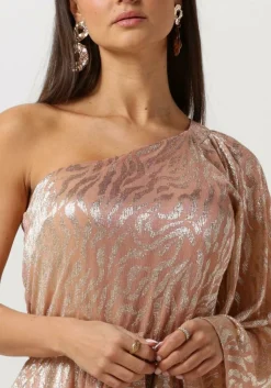 ACCESS maxi jurk shimmery one-shoulder animal print roze New