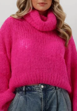 AMERICAN DREAMS coltrui pepper roll neck cropped roze Outlet