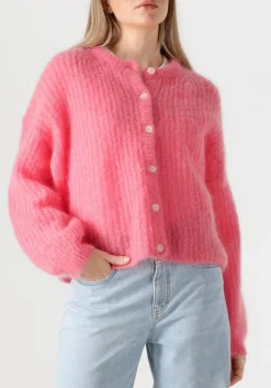 DES PETITS HAUTS trui alma roze