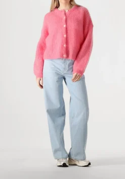 DES PETITS HAUTS trui alma roze