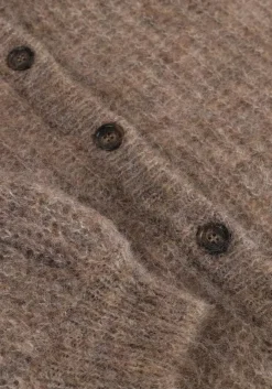 DES PETITS HAUTS trui alma taupe