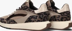FLORIS VAN BOMMEL lage sneakers sfw-10138 suvi taupe Discount