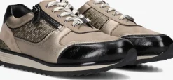 HASSIA lage sneakers porto taupe New