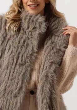 NOTRE-V gilet nv-edith taupe New