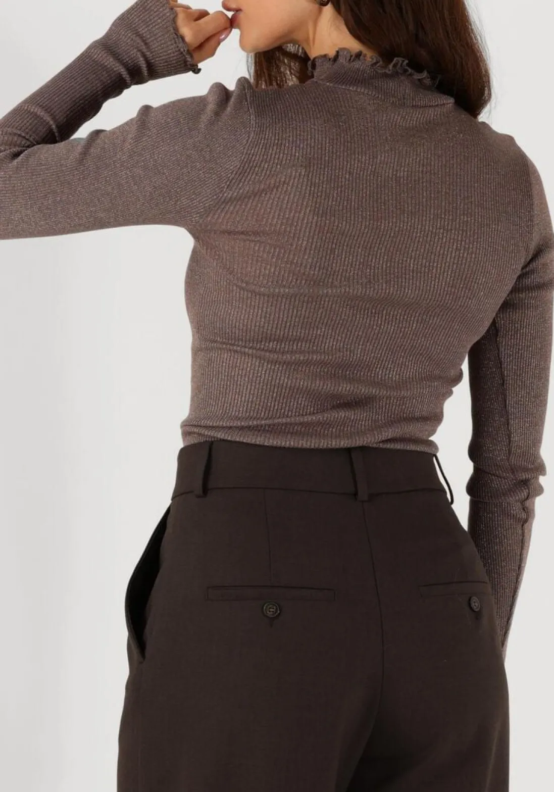 ROSEMUNDE top boston turtleneck w/ lurex taupe New