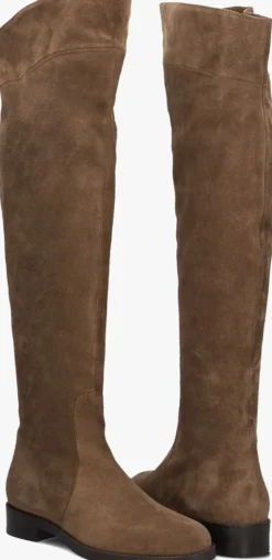 STEFANO LAURAN laarzen 2056 taupe Hot