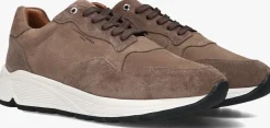 STEFANO LAURAN lage sneakers star 007 taupe Clearance
