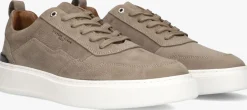 STEFANO LAURAN lage sneakers star 008 taupe Outlet