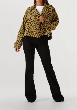 AMAYA AMSTERDAM te t-shirt bailey wit Online