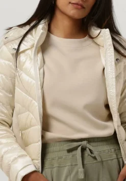 BEAUMONT te jack devi wit New