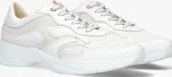 DL SPORT te lage sneakers 6540 wit Online