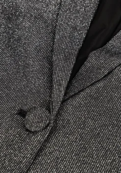 IBANA en blazer jolsy zilver Clearance