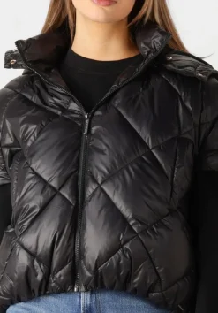 DEBLON SPORTS e bodywarmer stevie zwart Best