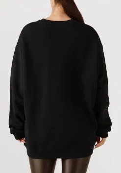 DEBLON SPORTS e sweater lucie sweater zwart Hot