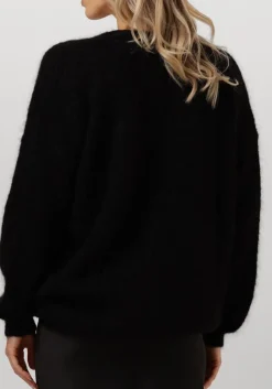 DES PETITS HAUTS e vest betani zwart