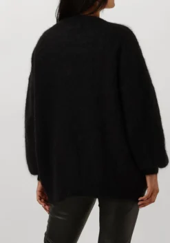 DES PETITS HAUTS e vest altea zwart Hot