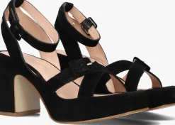 FRED DE LA BRETONIERE e sandalen 163010180 zwart Clearance