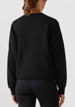 GOLDBERGH e sweater alessandra crew neck sweater zwart Sale