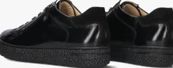 HARTJES e lage sneakers 162.1401 phil zwart Discount