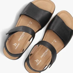 HARTJES e platte sandalen woogie zwart Online