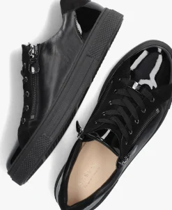 HASSIA e lage sneakers 301233 led zwart New