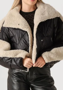 IBANA zwarte jack caeli multi Best