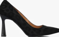 NOTRE-V e pumps 2211 zwart Hot