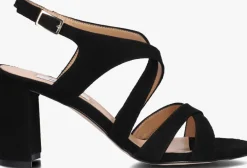 NOTRE-V e sandalen met hak 22552 zwart New