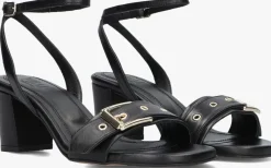 TORAL e sandalen met hak melissa led zwart Online